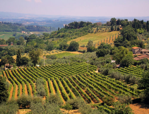 Spotlight on Tuscany